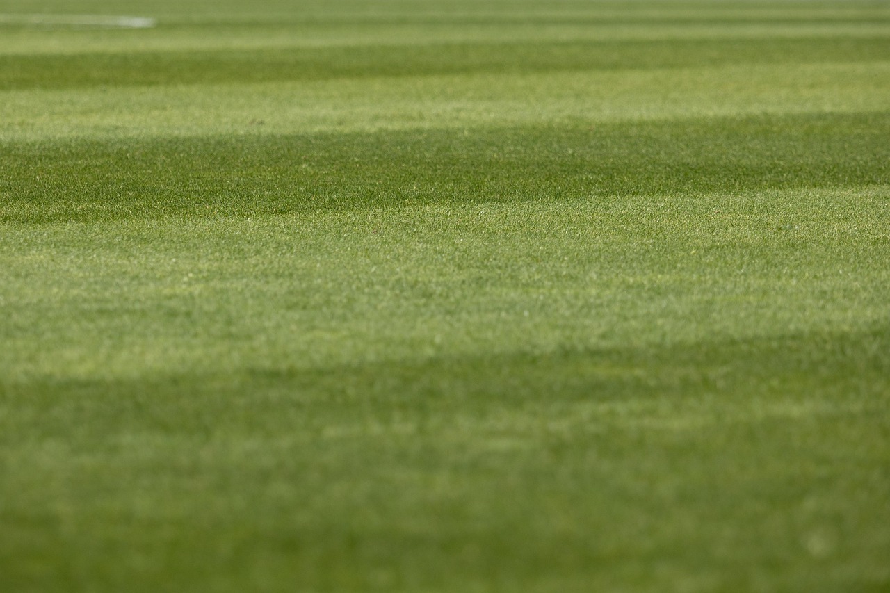 d&eacute;couvrez comment pr&eacute;parer un investor pitch convaincant pour s&eacute;duire les investisseurs et pr&eacute;senter efficacement votre projet ou startup.